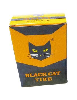 camara 27.5' av black cat